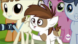 Size: 1023x577 | Tagged: safe, screencap, dinky hooves, featherweight, first base, pipsqueak, ruby pinch, shady daze, earth pony, pony, g4, twilight time, colt, hub logo, male