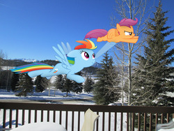 Size: 4608x3456 | Tagged: safe, artist:martinnus1, artist:missbeigepony, rainbow dash, scootaloo, g4, flying, helping, irl, pegassistance, photo, ponies in real life, porch, snow, street, tree, vector