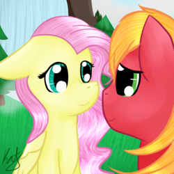 Size: 2000x2000 | Tagged: safe, artist:catopia26, edit, big macintosh, fluttershy, earth pony, pony, g4, male, ship:fluttermac, shipping, stallion, straight