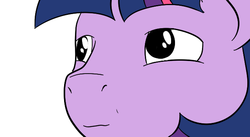 Size: 640x350 | Tagged: artist needed, safe, twilight sparkle, g4, female, jontron, nightshade: the claws of heugh, reaction image, solo
