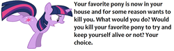 Size: 1338x390 | Tagged: safe, twilight sparkle, g4, angry, female, meme, solo, text, what do