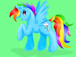 Size: 1024x768 | Tagged: safe, artist:gloomymort, rainbow dash, pegasus, pony, g4, female, mare, solo