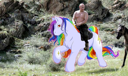 Size: 585x350 | Tagged: safe, human, pony, humans riding ponies, irl, irl human, photo, ponies in real life, riding, russia, vladimir putin