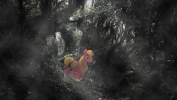 Size: 2048x1152 | Tagged: safe, big macintosh, earth pony, pony, g4, everfree forest, fog, irl, male, photo, ponies in real life, solo, stallion