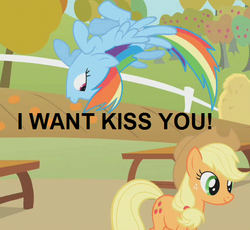 Size: 544x500 | Tagged: safe, edit, edited screencap, screencap, applejack, rainbow dash, fall weather friends, g4, female, grammar error, lesbian, ship:appledash, shipping, text