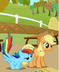 Size: 404x492 | Tagged: safe, screencap, applejack, rainbow dash, pony, fall weather friends, g4, cropped, duo, lidded eyes