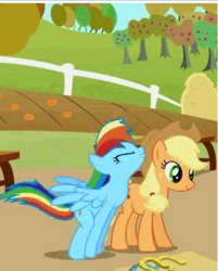 Size: 420x522 | Tagged: safe, screencap, applejack, rainbow dash, pony, fall weather friends, g4, cropped, duo