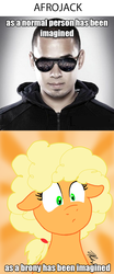 Size: 633x1515 | Tagged: safe, artist:the_gneech, applejack, g4, afro, afrojack, comparison, duo, female, image macro, male, meme