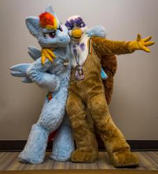 Size: 959x1054 | Tagged: safe, artist:neouka, artist:spainfischer, gilda, rainbow dash, griffon, human, g4, cosplay, fursuit, irl, irl human, photo, sydneyroo(coser)