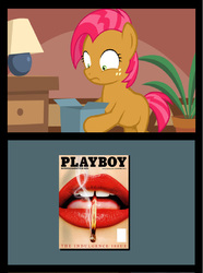 Size: 651x876 | Tagged: safe, babs seed, g4, bad gift meme, box meme, exploitable meme, magazine, meme, playboy