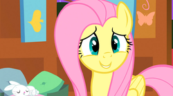 Size: 930x522 | Tagged: safe, screencap, angel bunny, fluttershy, g4, stare master, female, solo