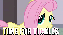 Size: 576x324 | Tagged: safe, edit, edited screencap, screencap, fluttershy, filli vanilli, g4, animated, female, grin, image macro, imminent tickles, meme, smiling, solo, tickling, wingding eyes