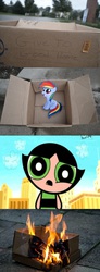 Size: 1316x3576 | Tagged: safe, rainbow dash, pegasus, pony, g4, buttercup (powerpuff girls), comic, dashabuse, dashie meme, evil people finding dash meme, exploitable meme, female, fire, implied murder, irresponsible people finding dash meme, meme, the powerpuff girls