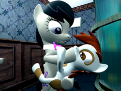 Size: 640x480 | Tagged: safe, octavia melody, pipsqueak, g4, 3d, female, gmod, hoof licking, hoof sucking, male, straight