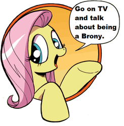 Size: 434x443 | Tagged: safe, idw, fluttershy, friendship is magic #3, g4, my little pony: friendship is magic (idw), bad advice fluttershy, brony, drama, exploitable meme, female, meme, solo