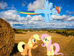 Size: 1007x768 | Tagged: dead source, safe, artist:filpapersoul, artist:schrodinger-excidium, artist:teentrunks4, applejack, fluttershy, rainbow dash, g4, field, flying, hay, houses, irl, photo, ponies in real life, tree, vector