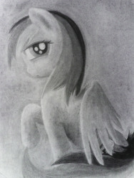 Size: 1728x2292 | Tagged: safe, artist:eyvindwolf, rainbow dash, g4, female, monochrome, portrait, solo