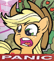 Size: 269x303 | Tagged: safe, artist:tony fleecs, idw, official comic, applejack, friends forever #2, g4, my little pony: friends forever, spoiler:comic, expand dong, exploitable meme, faic, female, image macro, meme, panic, reaction image, solo, why.jpg