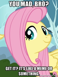 Size: 291x388 | Tagged: safe, fluttershy, g4, it ain't easy being breezies, cute, female, image macro, meme, solo, troll, u mad, you mad, you mad bro