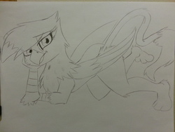 Size: 3264x2448 | Tagged: safe, oc, oc only, oc:skye snowtail, griffon, monochrome, outline, sketch, solo, traditional art