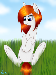 Size: 5000x6666 | Tagged: safe, artist:axioma_dice, oc, oc only, earth pony, pony, absurd resolution, field, sitting, solo, trade