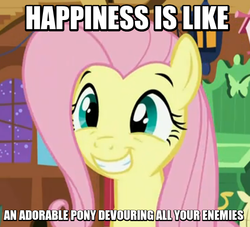 Size: 524x475 | Tagged: safe, fluttershy, g4, female, happy, image macro, meme, smiling, solo
