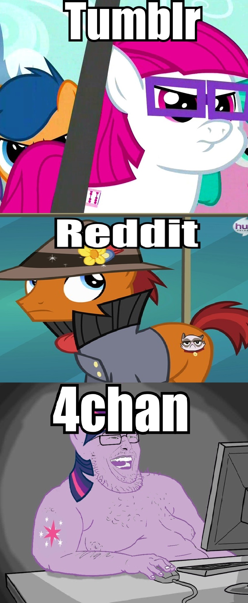 562861 4chan Grumpy Cat Little Red Meme Neckbeard Reddit