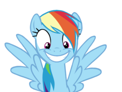Size: 1600x1200 | Tagged: safe, artist:kuren247, rainbow dash, g4, excited, female, looking down, simple background, solo, transparent background, vector