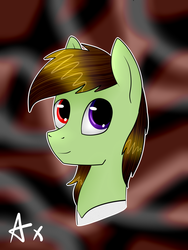 Size: 5000x6666 | Tagged: safe, artist:axioma_dice, oc, oc only, pony, absurd resolution, heterochromia, male, portrait, solo, stallion