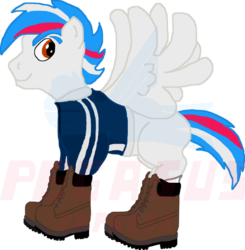 Size: 660x673 | Tagged: safe, artist:pegasusexpress2010, oc, oc only, pegasus, pony, boots, clothes, jacket, solo
