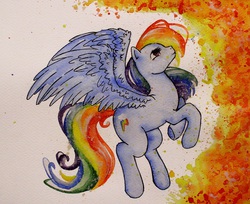 Size: 960x785 | Tagged: safe, artist:batwitch, rainbow dash, g4, female, solo, traditional art