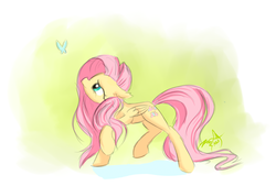 Size: 1984x1344 | Tagged: safe, artist:dueswals, fluttershy, butterfly, g4, female, solo