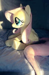 Size: 677x1025 | Tagged: safe, artist:buttercupbabyppg, fluttershy, g4, irl, photo, plushie, solo