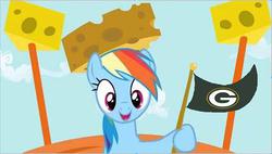 Size: 422x240 | Tagged: safe, edit, edited screencap, screencap, rainbow dash, g4, pinkie pride, rainbow falls, cheese hat, cheesehead, female, flag, green bay packers, hat, nfl, solo, wisconsin