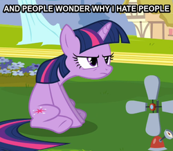 Size: 547x476 | Tagged: safe, twilight sparkle, g4, female, grumpy twilight, image macro, reaction image, solo