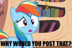 Size: 600x400 | Tagged: safe, rainbow dash, daring don't, g4, caption, faic, female, national random holiday party day, reaction image, solo, why would you post that