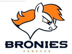 Size: 567x428 | Tagged: safe, pony, american football, denver, denver broncos, nfl, ponified, solo, super bowl, super bowl xlviii