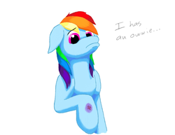 Size: 792x612 | Tagged: safe, artist:norrisnorris, rainbow dash, g4, female, solo