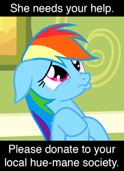 Size: 540x744 | Tagged: safe, artist:mokona, edit, edited screencap, screencap, rainbow dash, g4, my little pony: friendship is magic, read it and weep, female, floppy ears, hue, letterboxing, nose wrinkle, parody, pouty lips, pun, solo