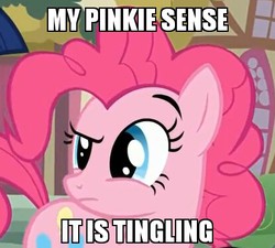 Size: 415x374 | Tagged: safe, pinkie pie, g4, face, female, image macro, meme, pinkie sense, raised eyebrow, solo