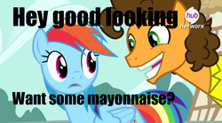 Size: 900x501 | Tagged: safe, edit, edited screencap, screencap, cheese sandwich, rainbow dash, pegasus, pony, g4, pinkie pride, caption, female, innuendo, male, mare, meme, out of context, stallion