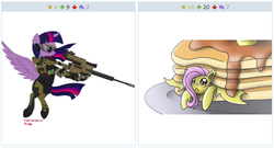 Size: 1026x556 | Tagged: safe, artist:norcinu, artist:orang111, fluttershy, twilight sparkle, alicorn, bat pony, pony, derpibooru, g4, exploitable meme, female, flutterbat, gun, hooves, horn, juxtaposition, juxtaposition win, mare, meme, meta, optical sight, rifle, sniper rifle, twilight sparkle (alicorn), weapon, wings