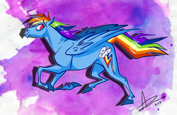 Size: 1600x1046 | Tagged: safe, artist:amyvstheworld, rainbow dash, g4, female, solo