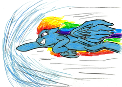 Size: 1129x807 | Tagged: safe, artist:rarewerewolf, rainbow dash, g4, female, flying, solo, traditional art