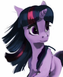 Size: 654x794 | Tagged: safe, artist:riu-lun, twilight sparkle, g4, female, portrait, solo