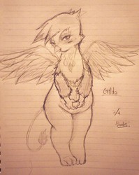 Size: 814x1024 | Tagged: safe, artist:doubt, gilda, griffon, g4, chubby, female, grayscale, lined paper, monochrome, solo, traditional art