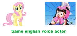 Size: 1254x588 | Tagged: safe, fluttershy, human, pegasus, pony, g4, andrea libman, chichi, dragon ball, english, exploitable meme, meme, same voice actor