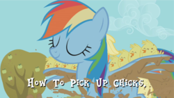 Size: 640x360 | Tagged: safe, rainbow dash, g4, chick, chicks, female, solo