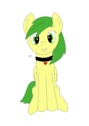 Size: 600x848 | Tagged: safe, artist:flurshy, oc, oc only, oc:flurshy, pegasus, pony, collar, cute, pet play, solo