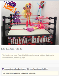 Size: 512x667 | Tagged: safe, fluttershy, rainbow dash, rarity, sunset shimmer, equestria girls, g4, my little pony equestria girls: rainbow rocks, doll, female, fight, irl, masked shimmer, photo, pun, royal rumble, toy, tumblr, wrestling, wwe